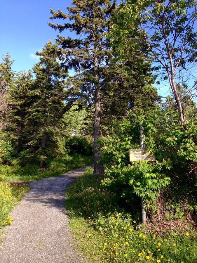 Motel De L'Anse Et Camping Rimouski Esterno foto